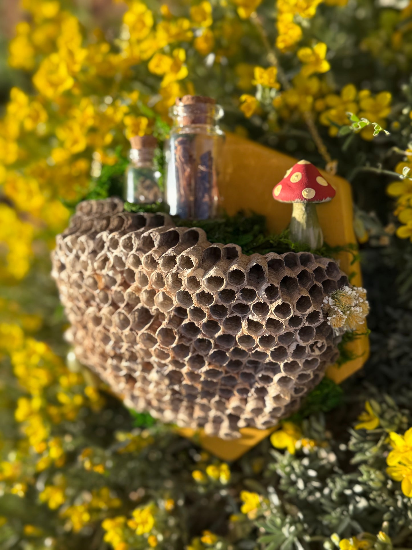 Hexagon wall plaque