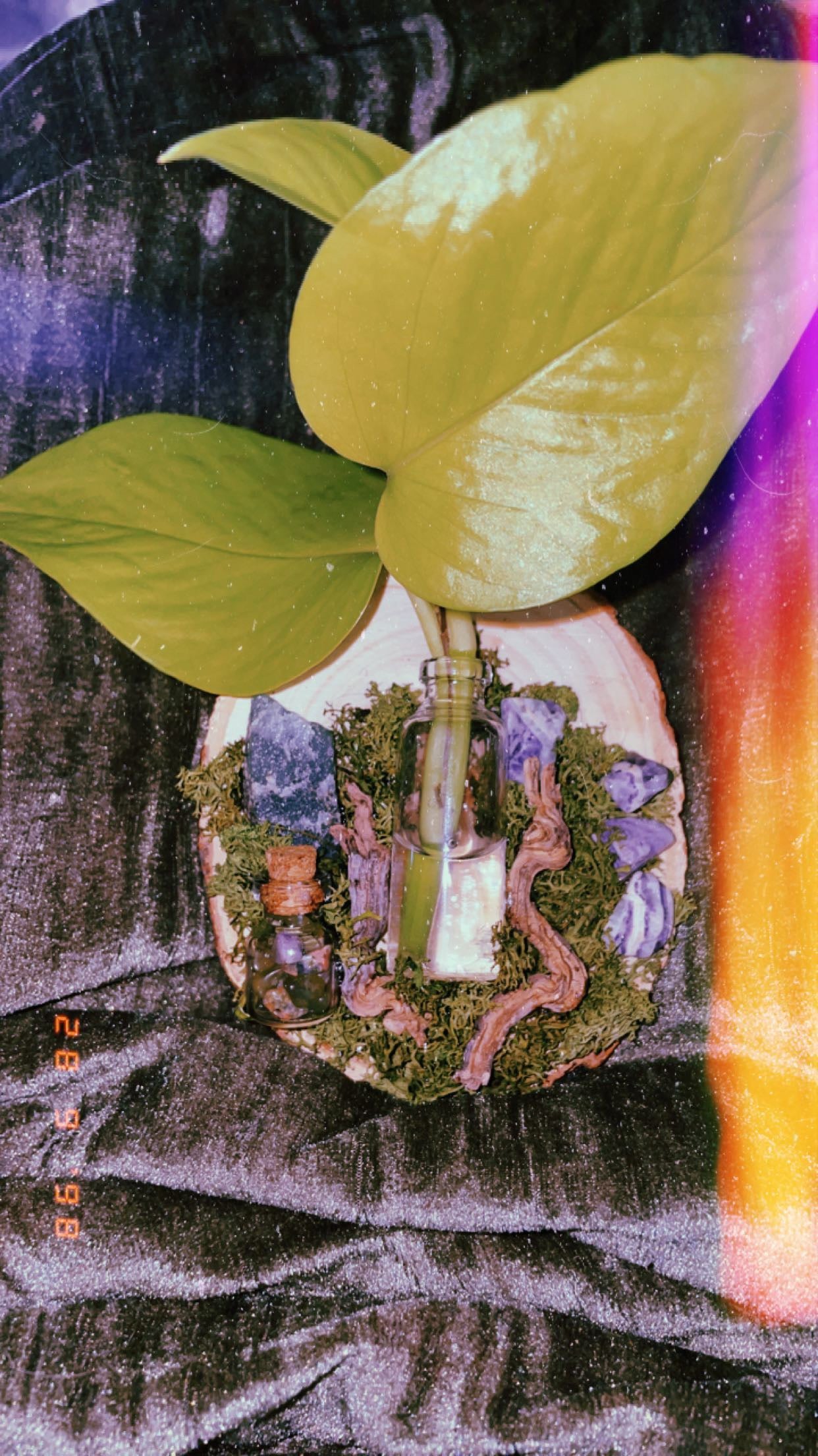 Propagation wall hang